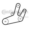 RENAU 7701473442 V-Ribbed Belt Set